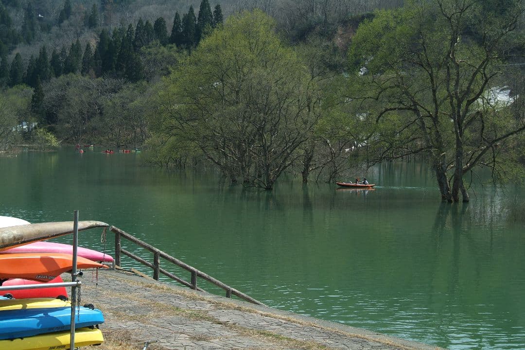 【値下げ】★美品SIGMA★15-30mm D EX IF レンズ /ニコンF