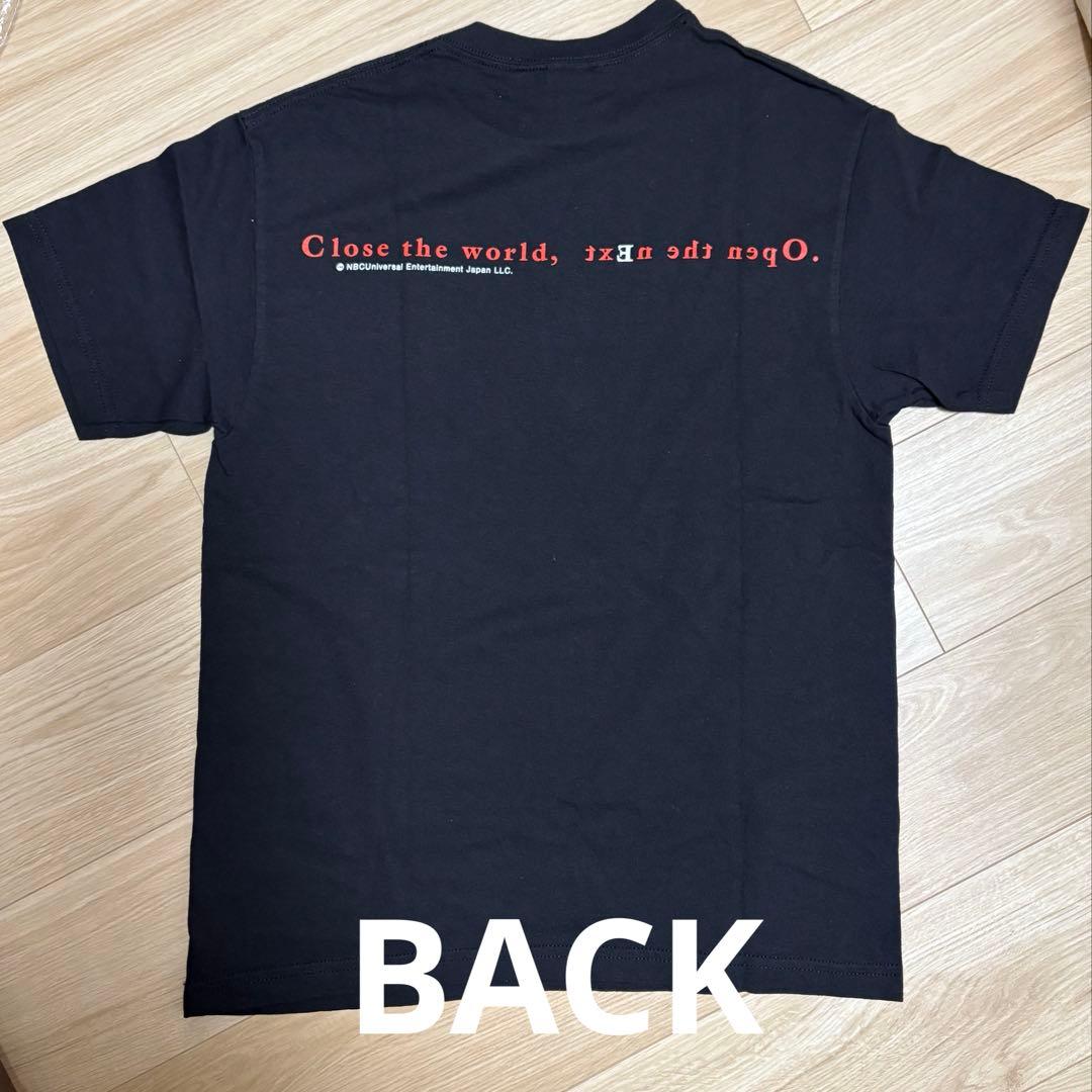 修*身様 serial experiments lain GEEKS RULE