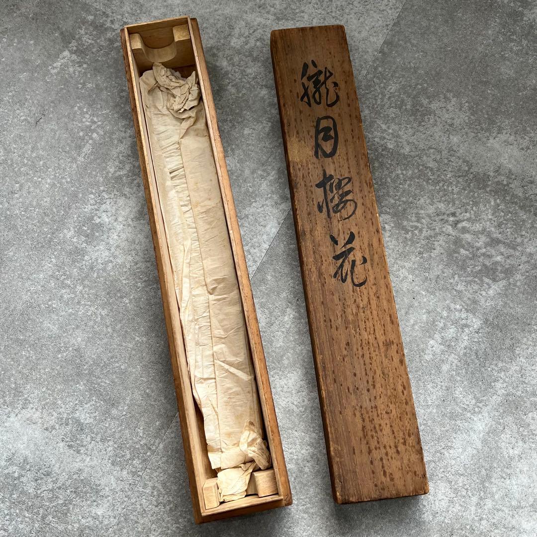 今井景樹 朧月橘花 桜月 掛軸 おぼろ月と桜 印章付き 掛け軸