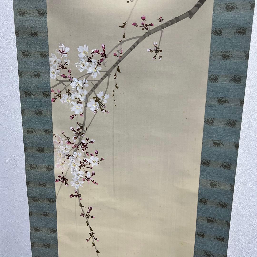 今井景樹 朧月橘花 桜月 掛軸 おぼろ月と桜 印章付き 掛け軸