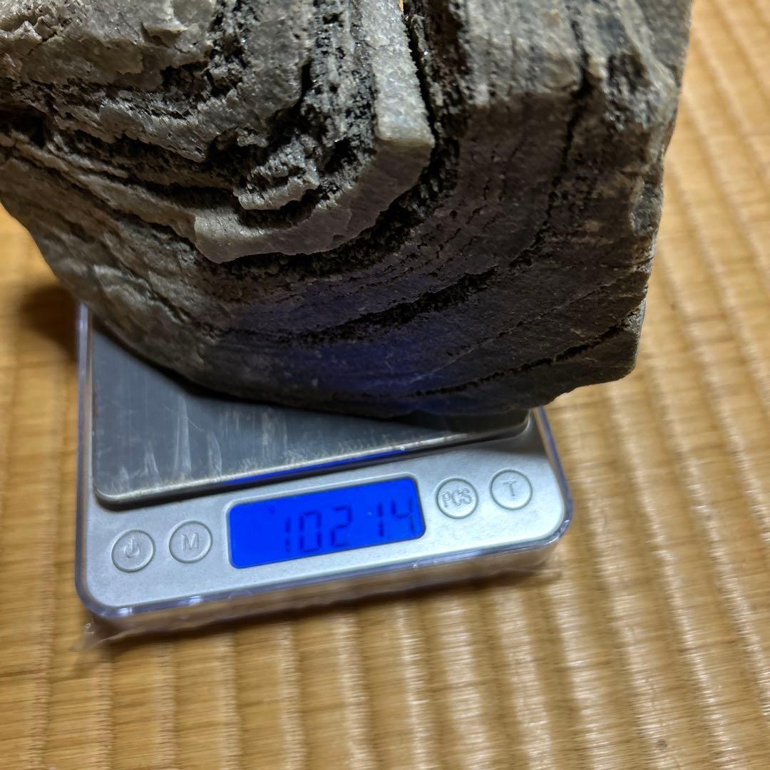 3点　化石　アンモナイト　等