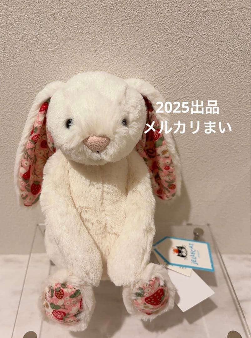  Blossom Cream Bunny 'Berry' （S）