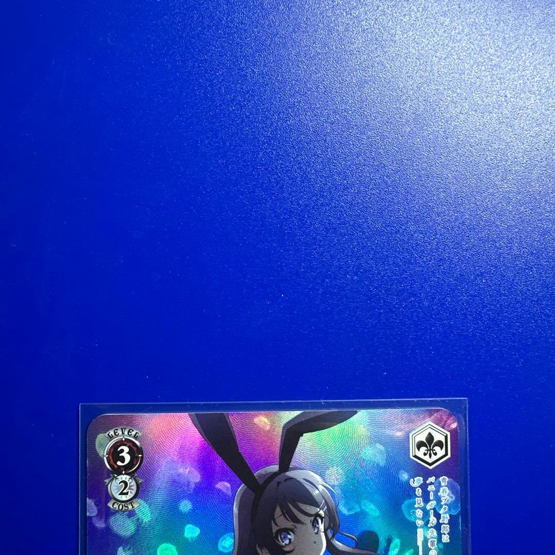 青ブタ 泡沫の存在 桜島麻衣 SP