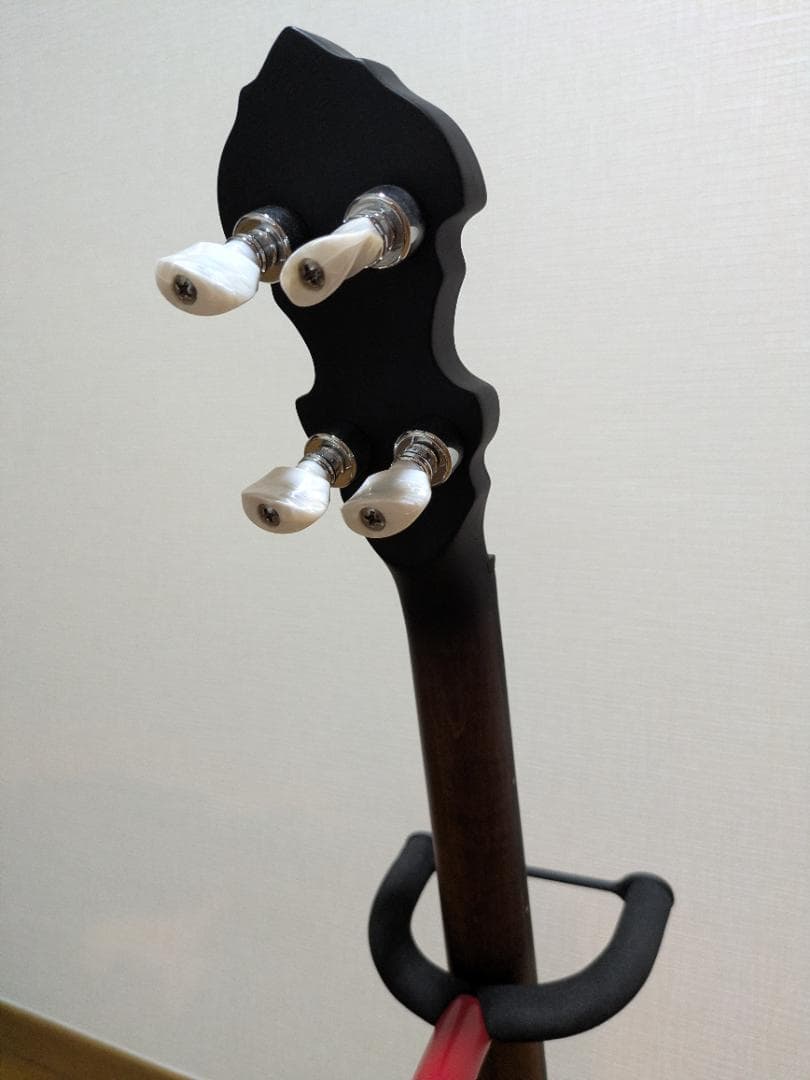 Gold Tone IT-19 Banjo 4弦 アイリッシュバンジョー