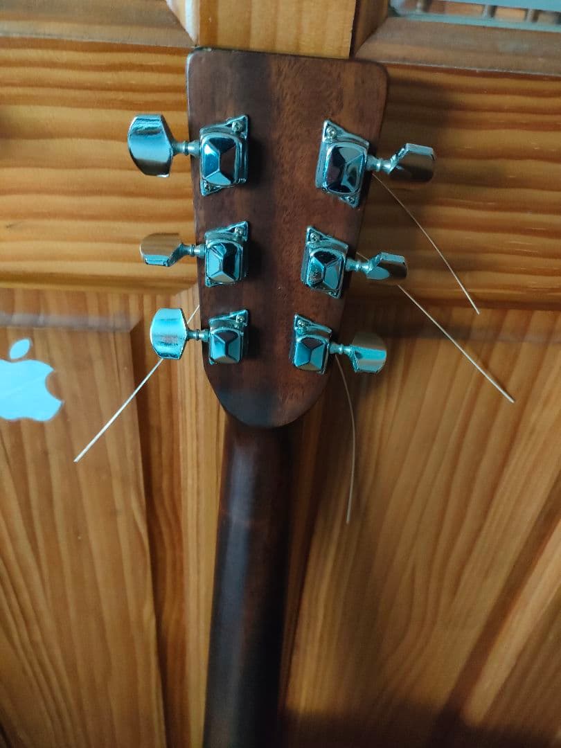 Bobson アコースティックギター