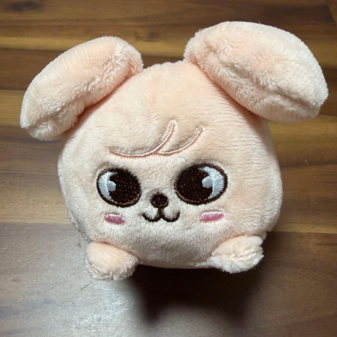 ⭐︎セール中⭐︎ StrayKids スンミン　パピーム　グッズまとめ売り