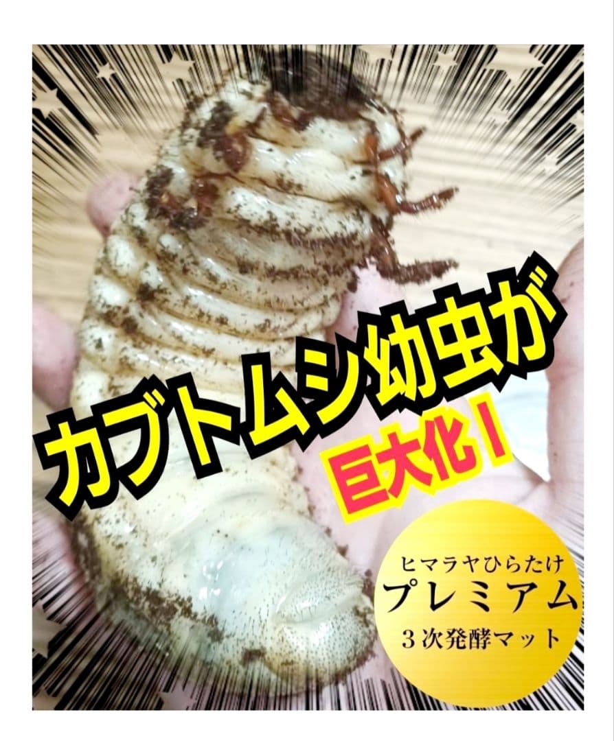 20Lボックス【2セット】プレミアム発酵マット入☆カブトムシ幼虫を入れるだけ！