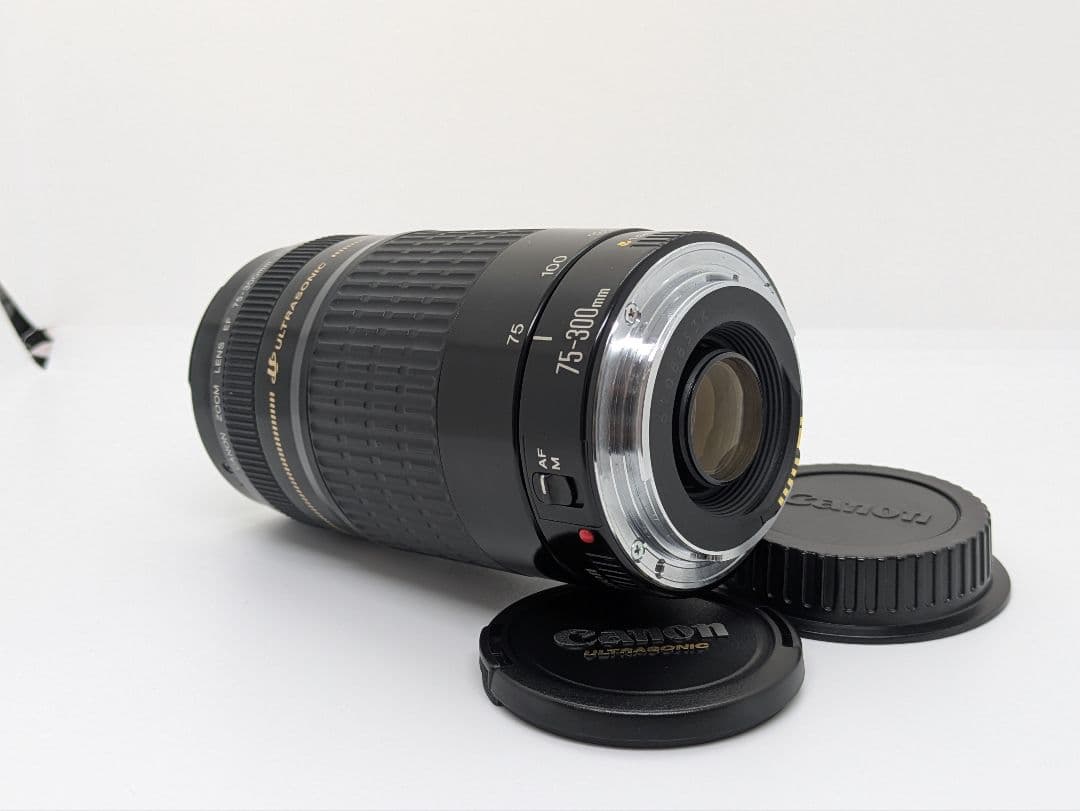 1月12日限定価格【超望遠レンズ】Canon EF 75-300mm USM