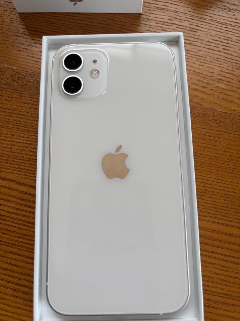 iPhone12、casetifyケース（MagSafe対応）、イヤホンのセット