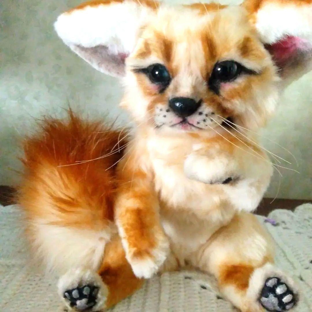 うずら　作家　アートドール　ぬいぐるみ　 フェネック