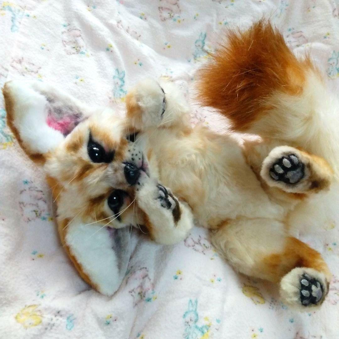 うずら　作家　アートドール　ぬいぐるみ　 フェネック