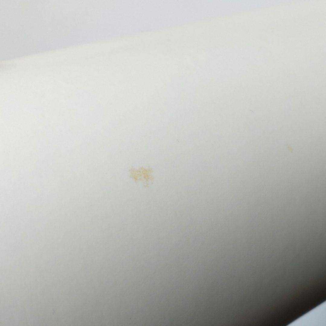 ken yokoyama DEAD AT BUDOKAN ポスター