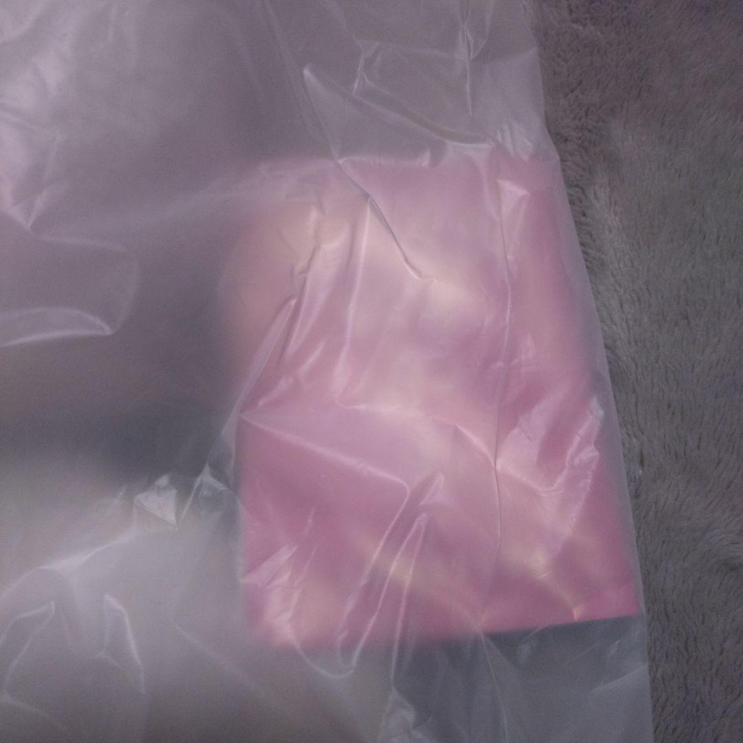 StrayKids　リービット　テディベア　SKZOO