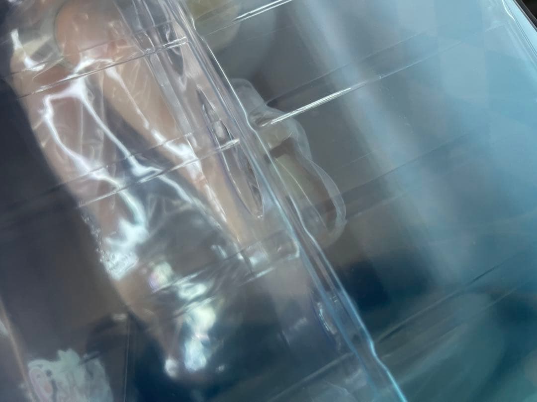 【新品未開封】　ライザのアトリエ2 ～失われた伝承と秘密の妖精～ 白水着ver