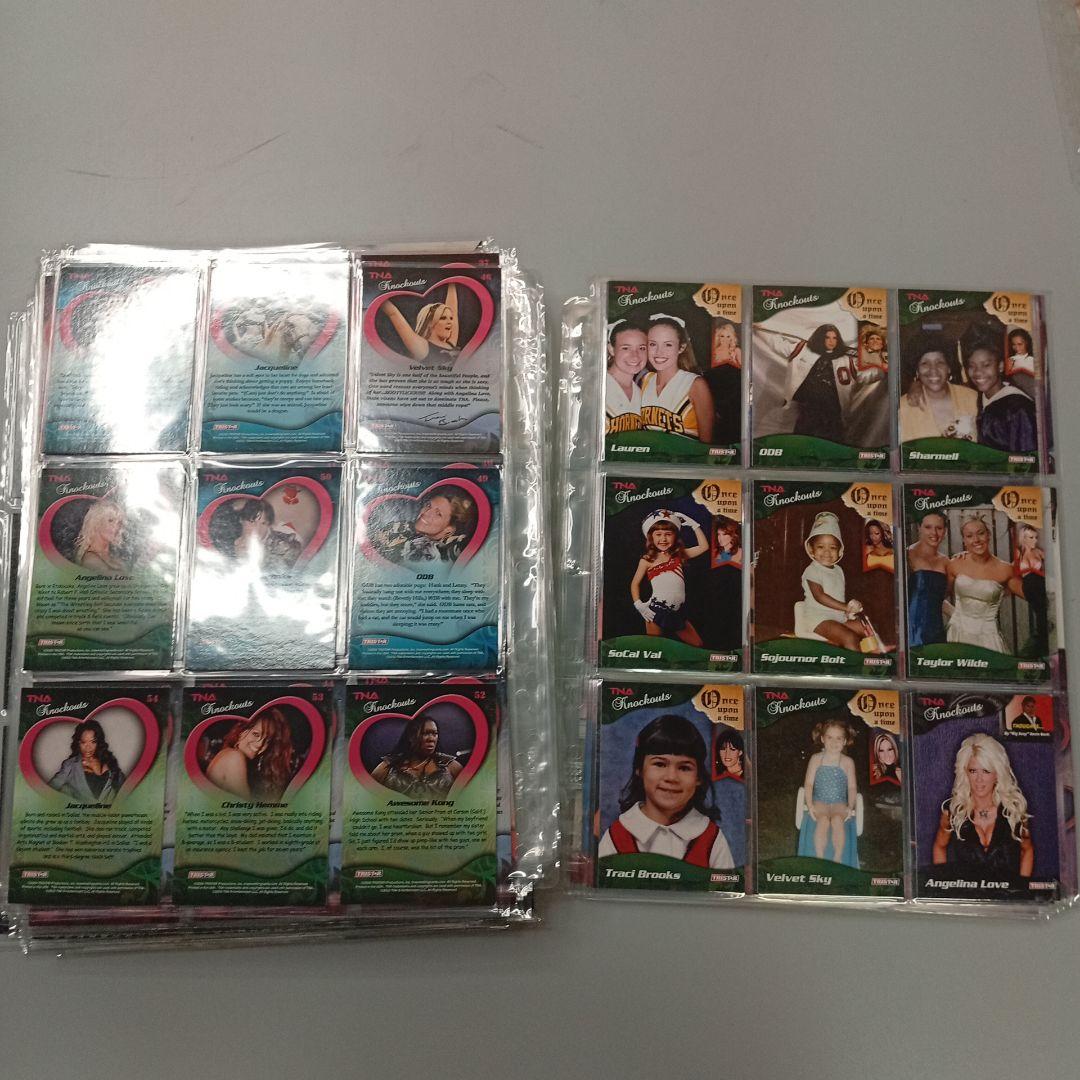 TNAトレーディングカードセット約300枚！