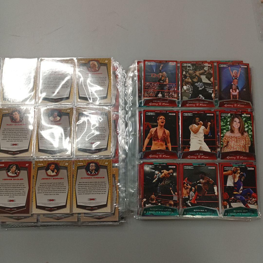 TNAトレーディングカードセット約300枚！