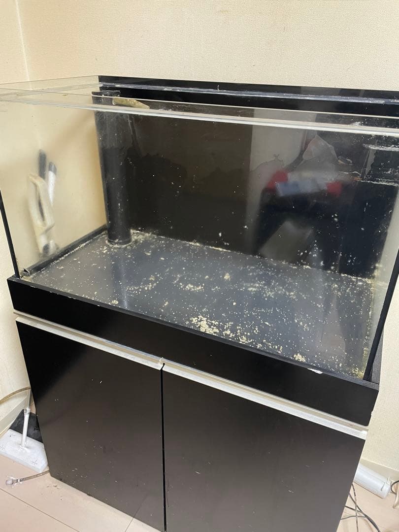 オルカ オーバーフロー水槽 900 サンゴ 海水