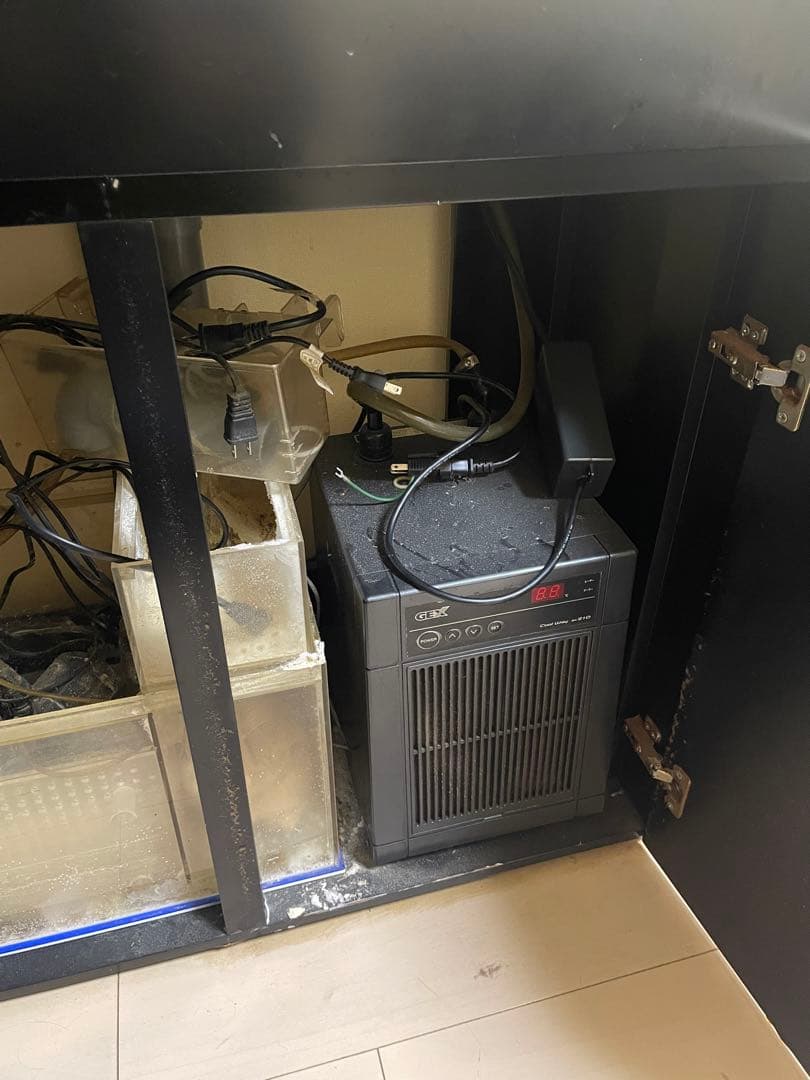 オルカ オーバーフロー水槽 900 サンゴ 海水