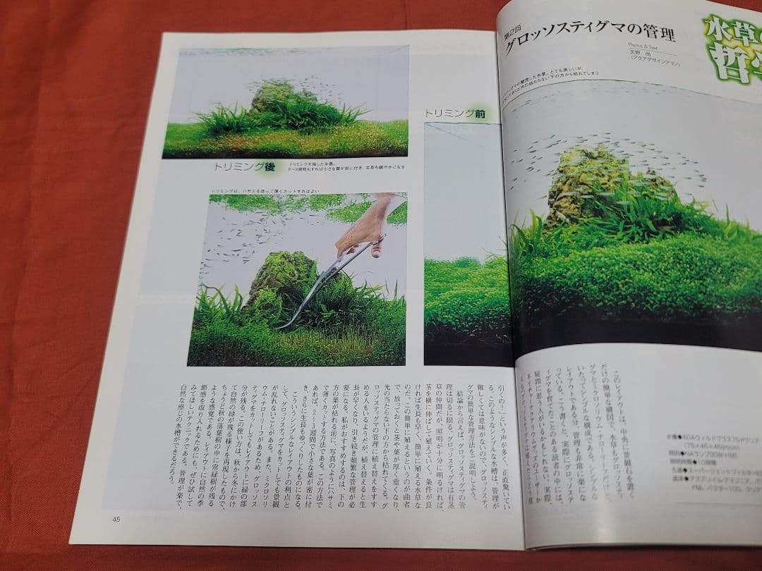 アクアデザインアマノ水草用はさみ　26センチ　旧ロゴ