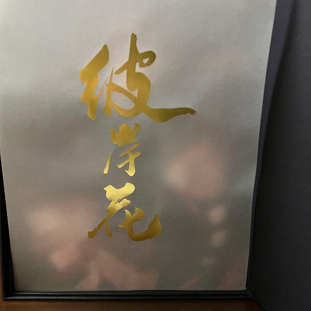 【特典】陰陽師本格幻想RPG 彼岸花 花影重綻 1/8 完成品フィギュア