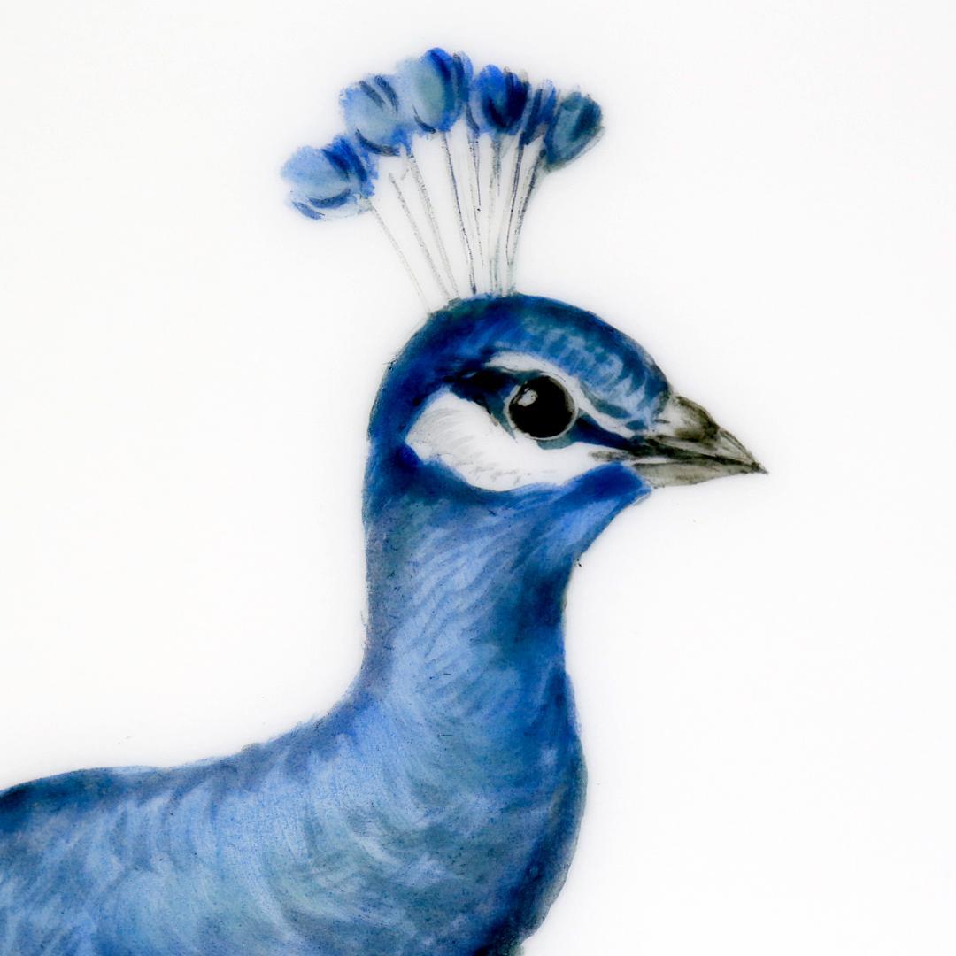 【美品 １級品】マイセン 孔雀 陶板画 プラーク 額装 送料込み