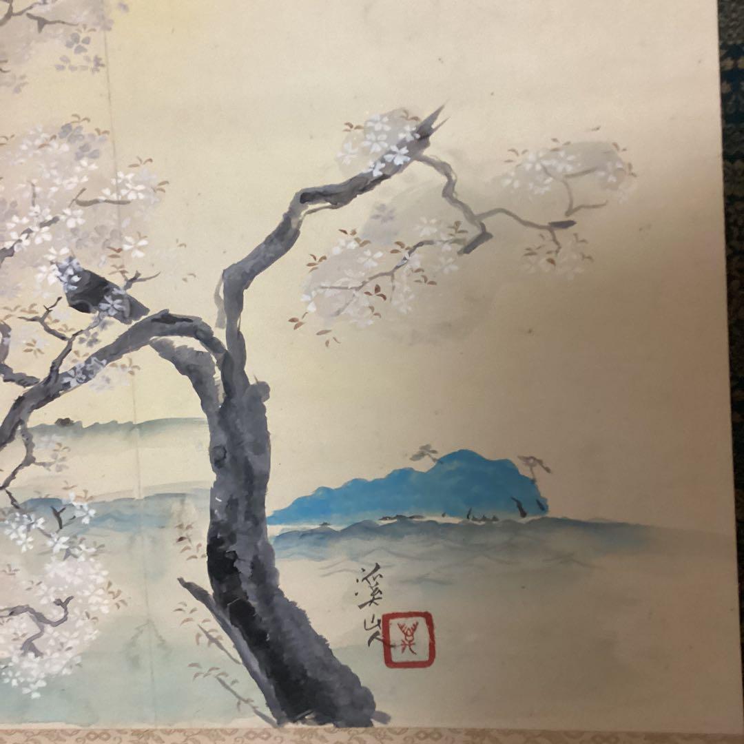 富田渓仙　　紙本彩色画　【　櫻　華　図　】《大智勝観　鑑識箱》タトウ箱　356