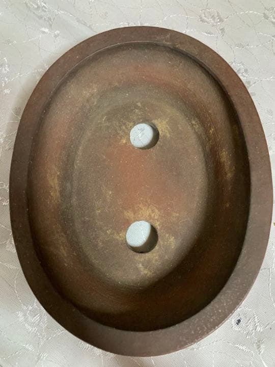 銭号　楕円　盆栽鉢