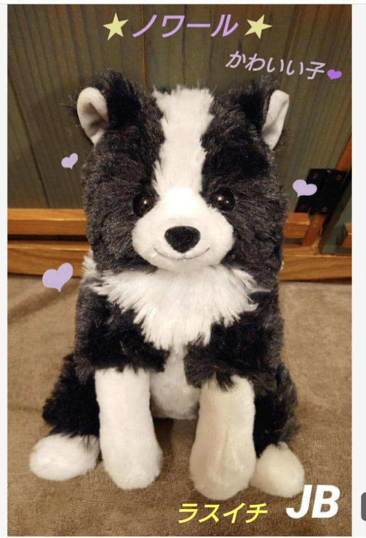 くったりボーダーコリー おりこうさん ノワール JB