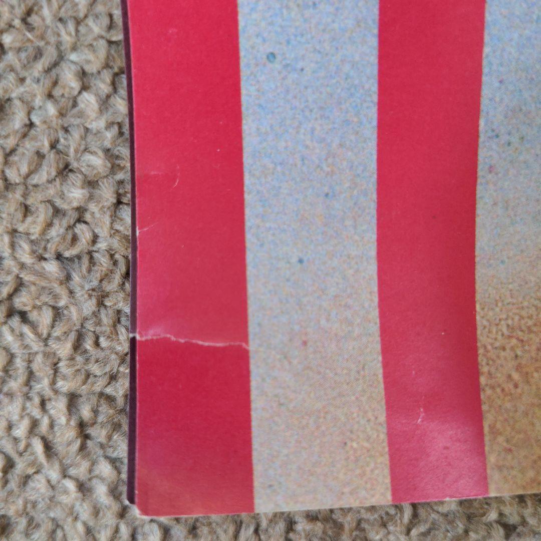 ⬛レア⚫THE BLUE HEARTS ブルーハーツ1991カレンダー　ポスター