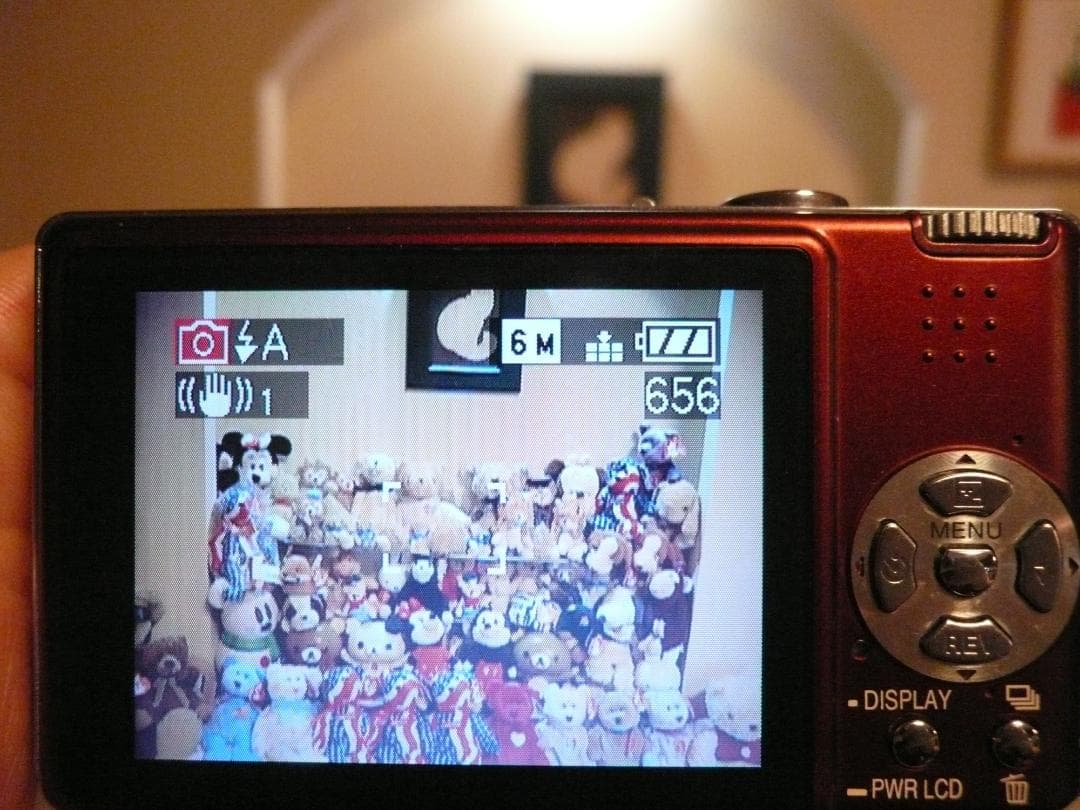 LUMIX★DMC-FX9⭐️極美品⭕️箱入り完品⭕️安心の実働品★レッド