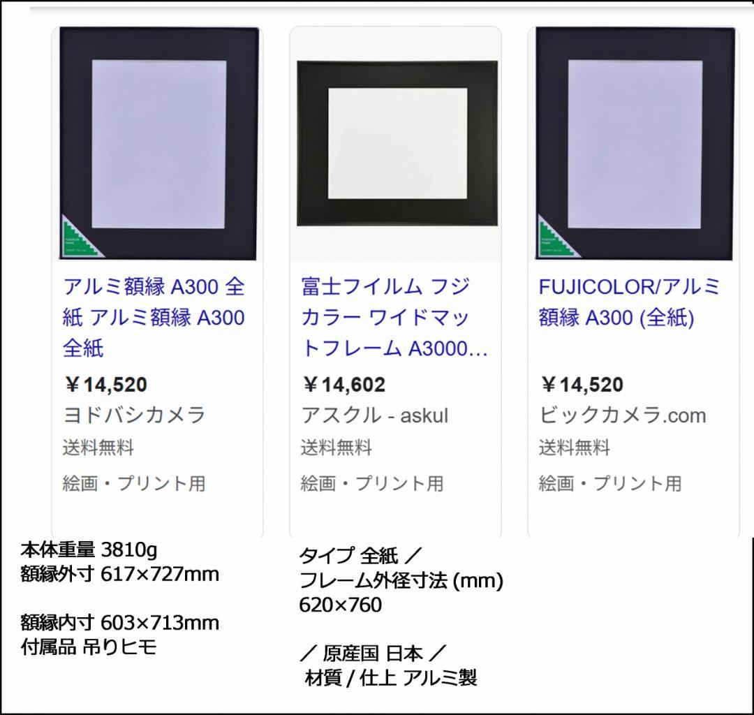 最高峰フォトフレーム　２枚組　全紙　美品　ワイドマット　A1000　A3000
