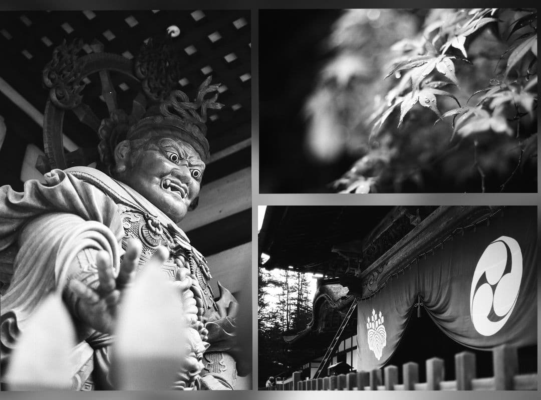 【撮影可・作例有・美品】OLYMPUS OM-1 50mm f1.4 付属品多数