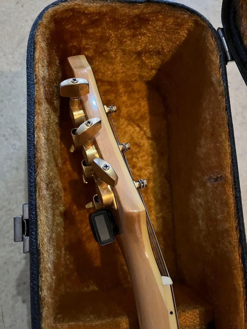 ジ*ー様 Epiphone Joe Pass フルアコ ナチュラル　ハードケース