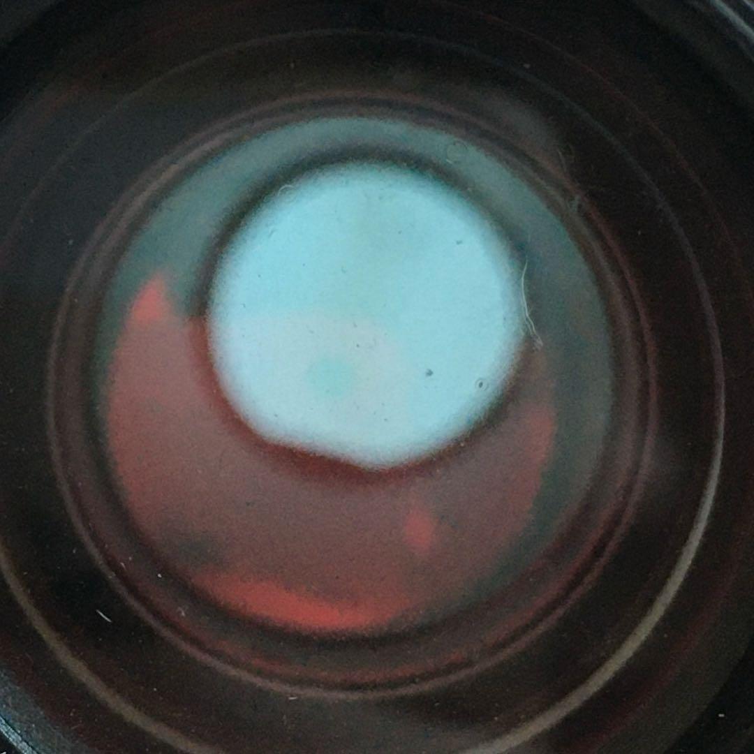 サイトロン SIGHTRON ドットサイト