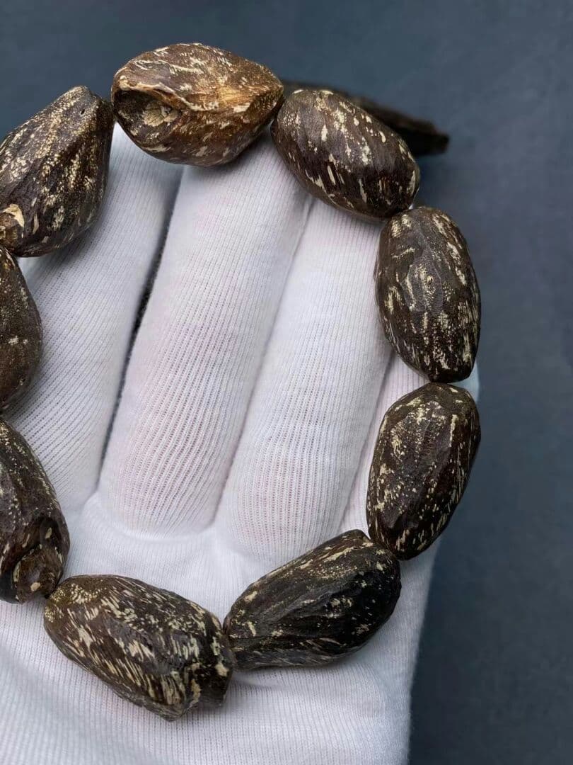 ダラガン天然野生むし虫ろー漏沉香 ゆし油脂がほーふ豊富である いいにおい匂いだ