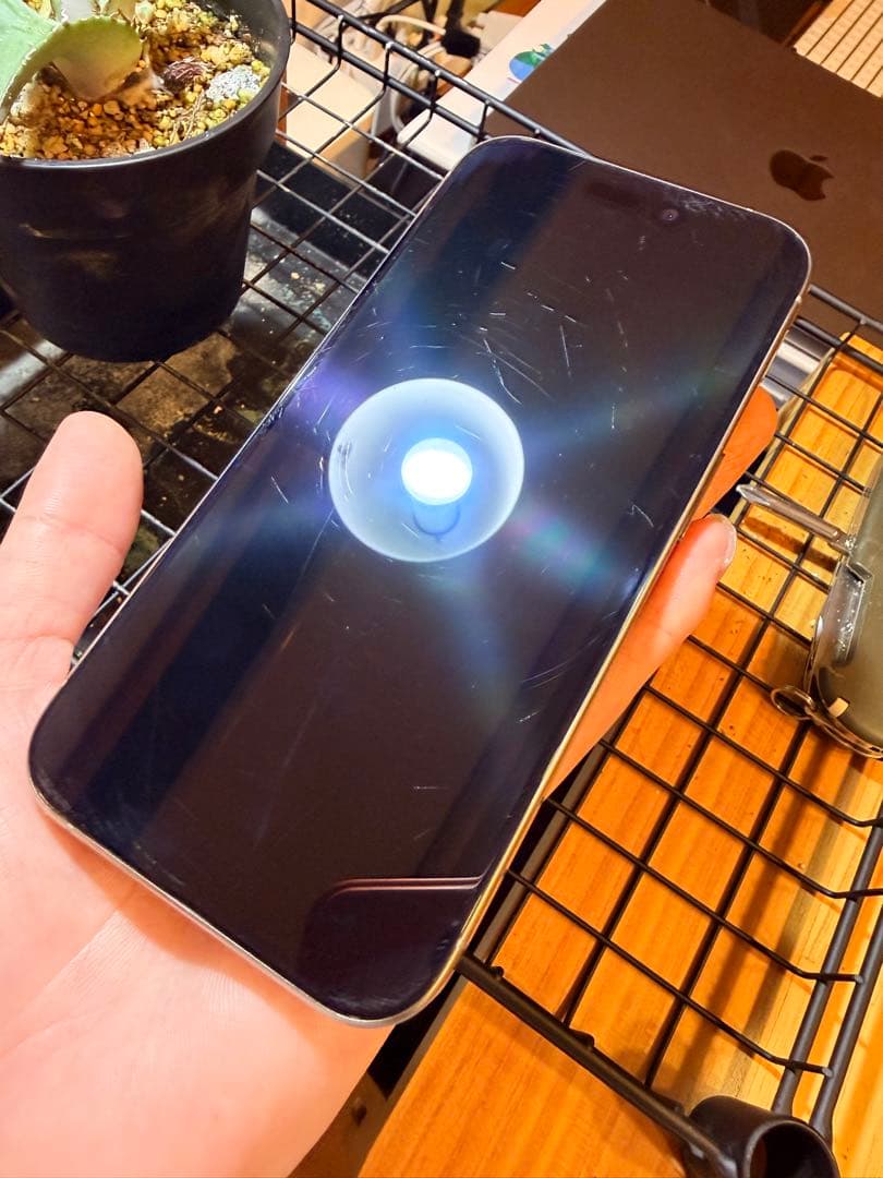 Apple iPhone 15 Pro 本体