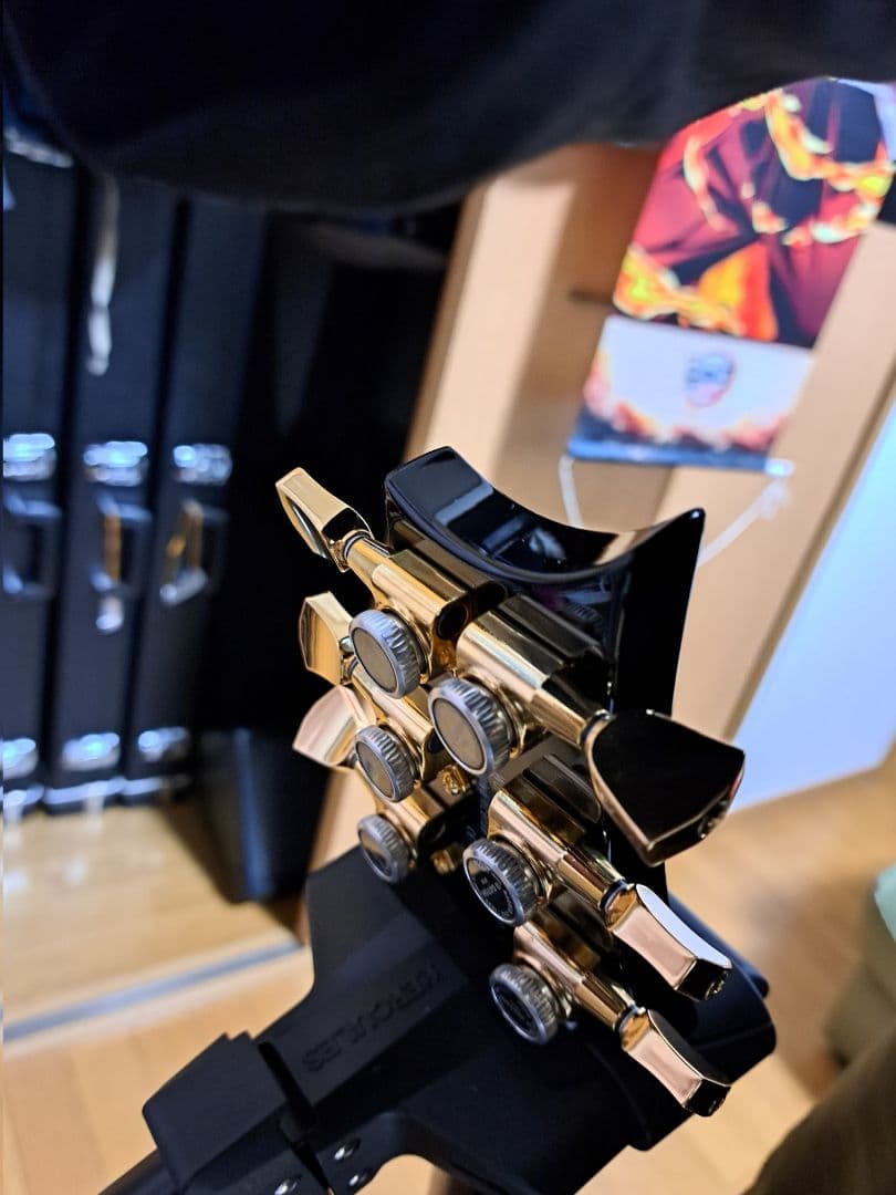 ギター PRS SE custom 24 Modify vegatrem