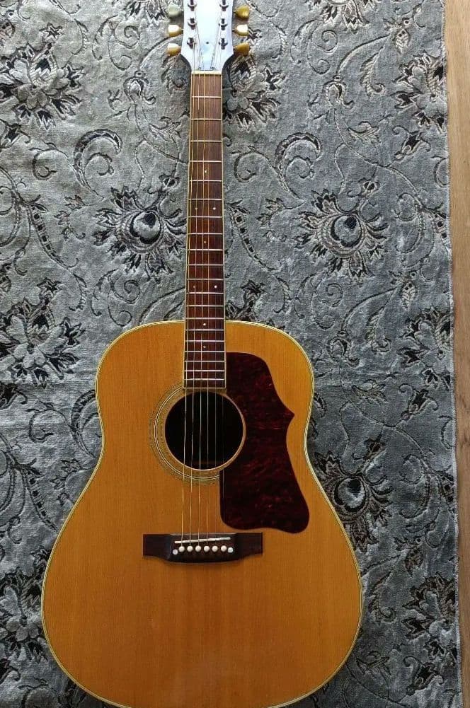 J-50モデル ラウンドショルダー Pearl パールTF-145 ヴィンテージ