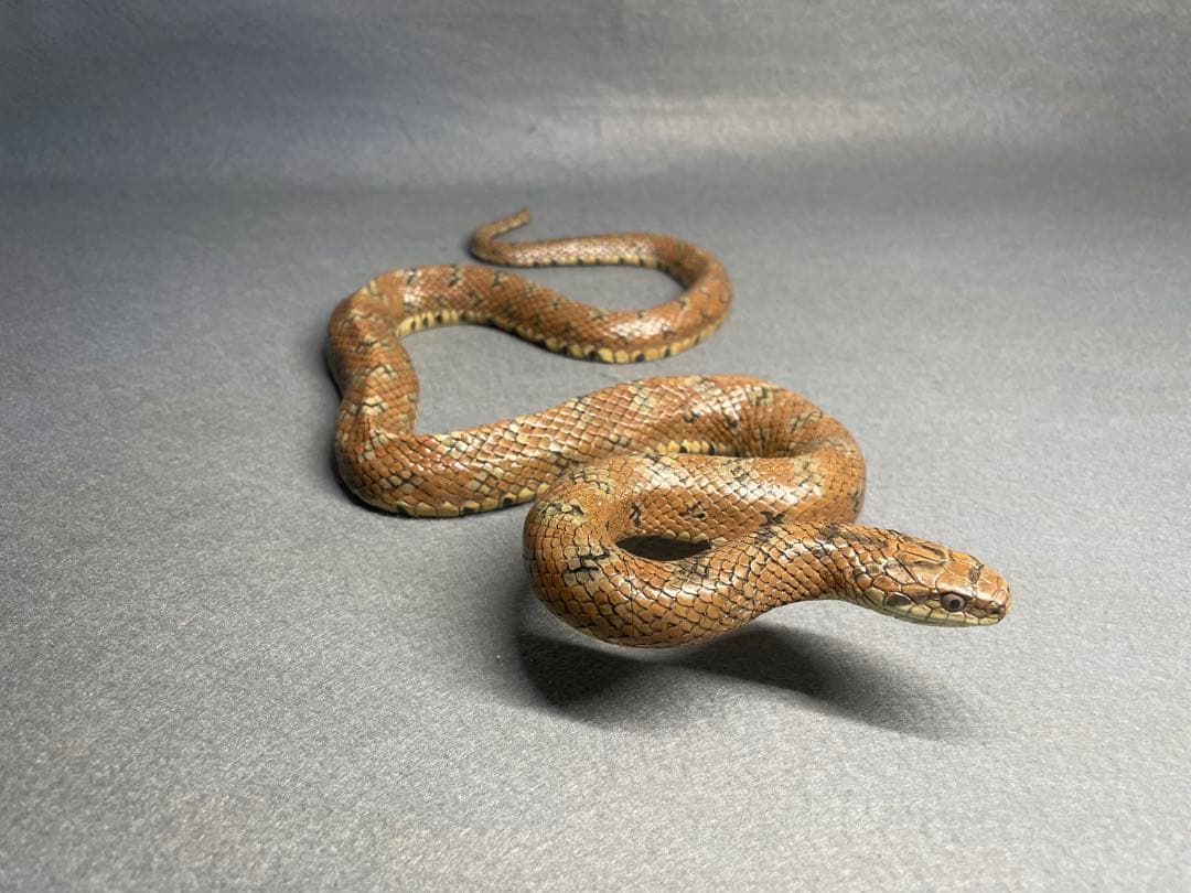 ジムグリ(レプリカ)