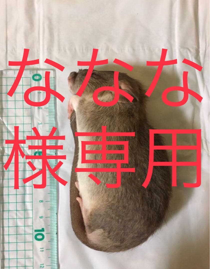 冷凍ADL52 ADM10 F10 H10 PL10 3L5 5L2