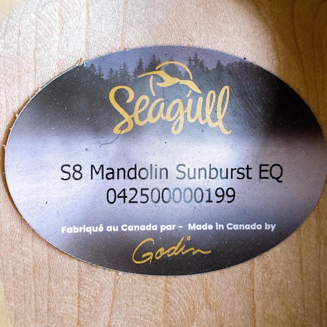 弦楽器 Seagull / S8 Mandolin Sunburst EQ