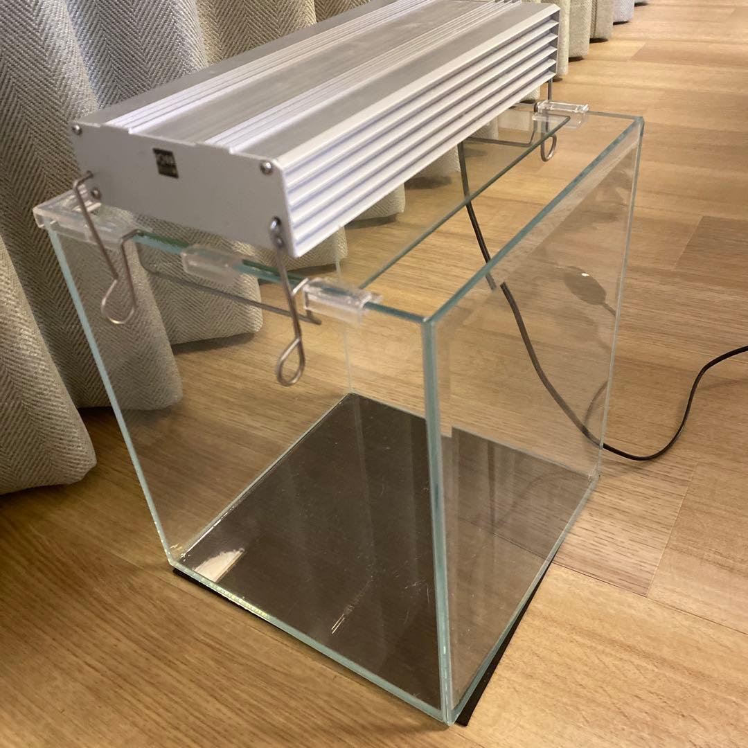 Aqua System LEDガラス水槽 25cm まとめ売り