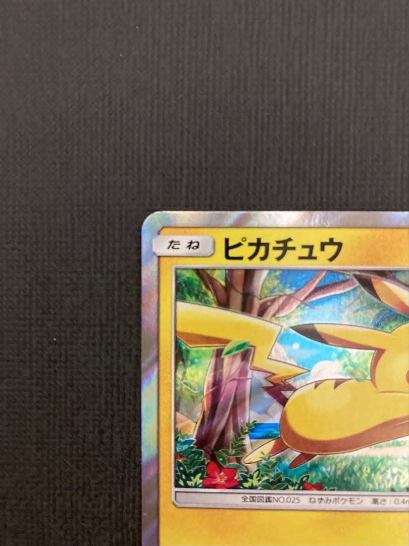 ピカチュウ SM0 ピカチュウと新しい仲間たち 004/004