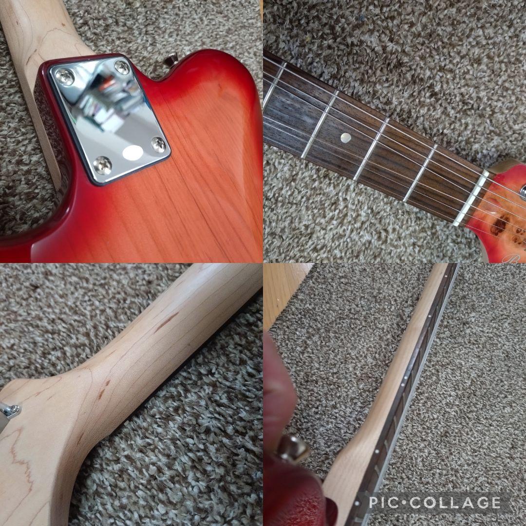 Bacchus tactics BP バールトップ テレキャスタータイプ