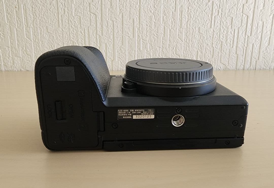 SONY α6600 ミラーレス一眼カメラ 本体 ／付属品付き