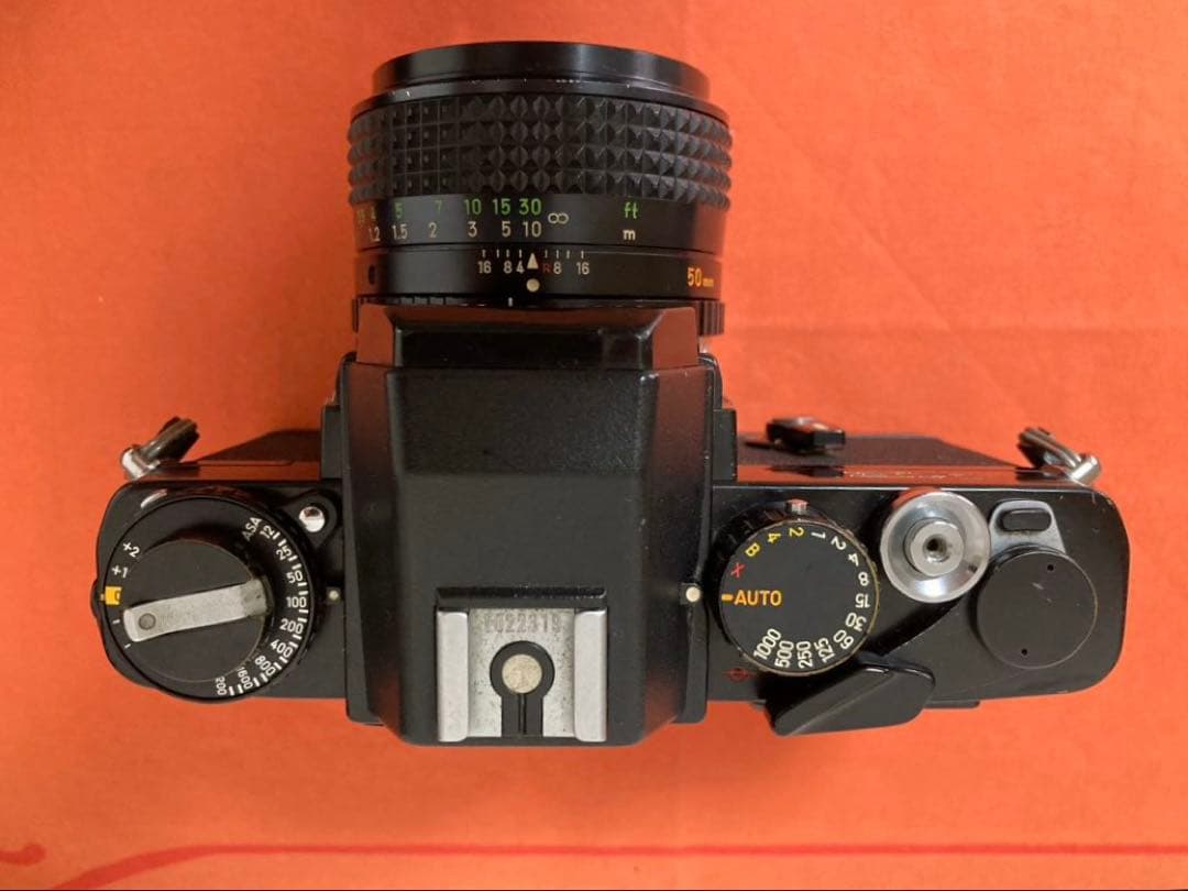 福豆　Minolta XE とCanon EF