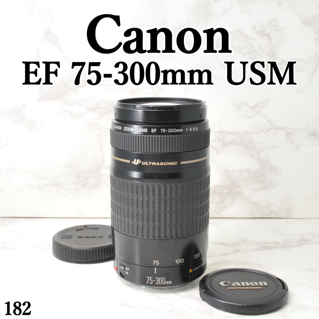 超望遠レンズ⭐️Canon EF 75-300mm F4-5.6 USM