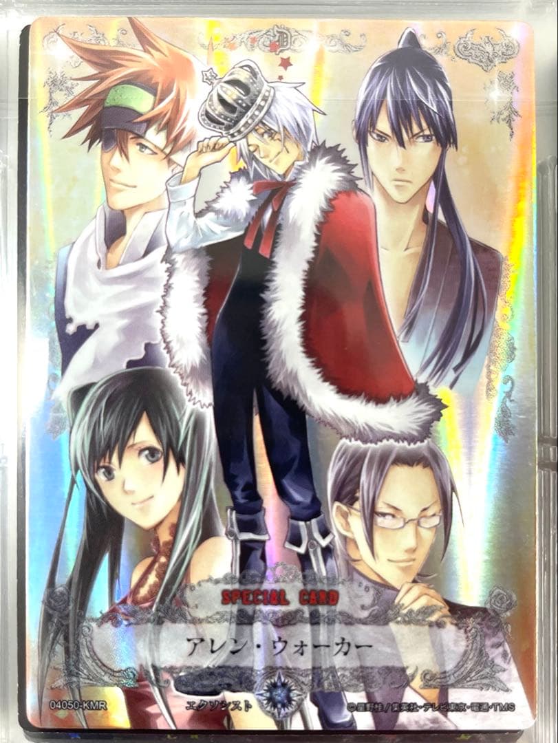 D.Gray-man ディーグレイマン TCG セミコンプリート ファイリング済