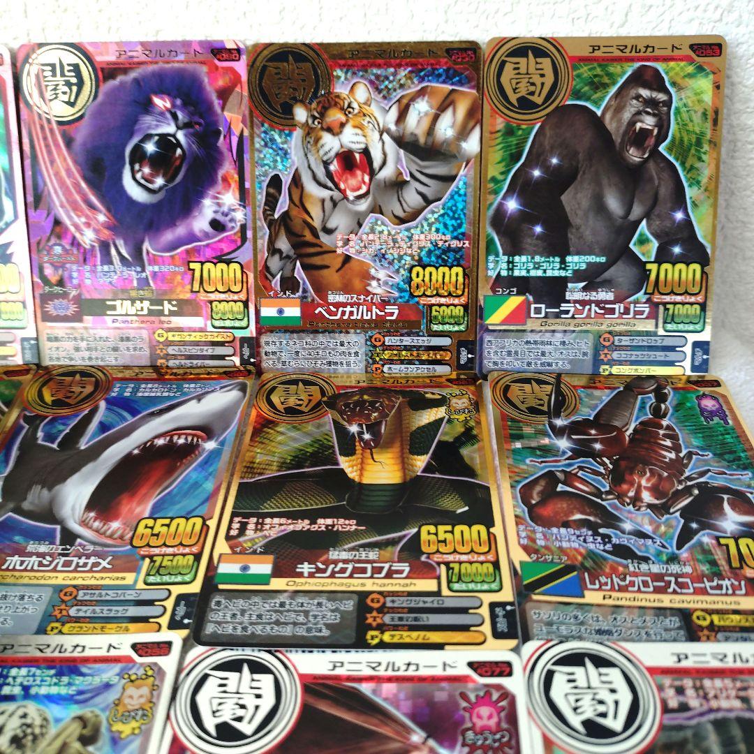 百獣対戦アニマルカイザー150枚以上ファイルごとまとめ売(ジーク/ゴルザード他)