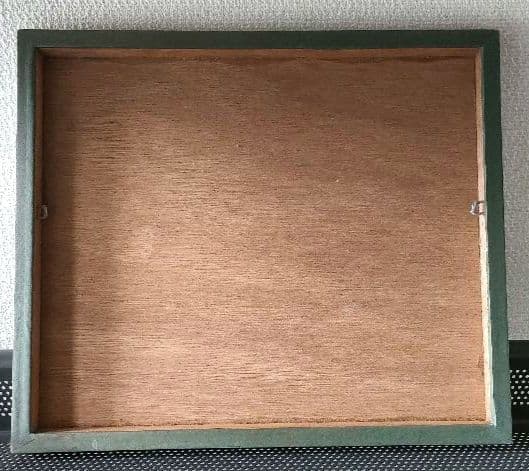 【一点物】　レントゲン魚拓　舌平目